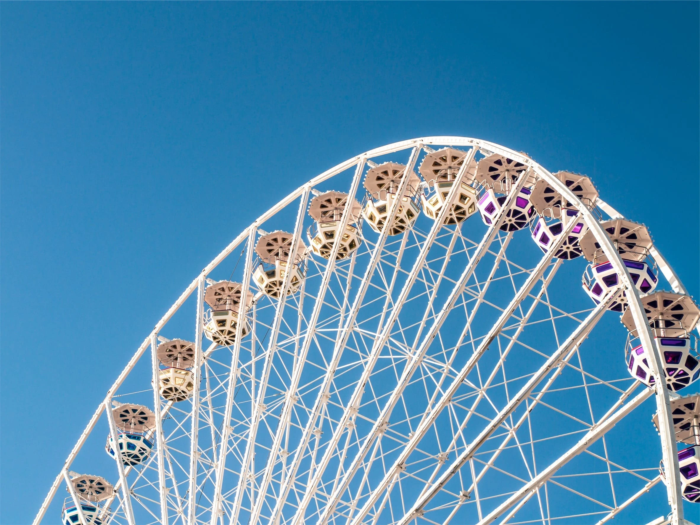 Amusement park Ferris wheel